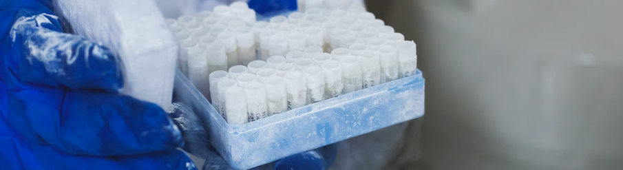 What Are SARMs? An Introduction for Researchers